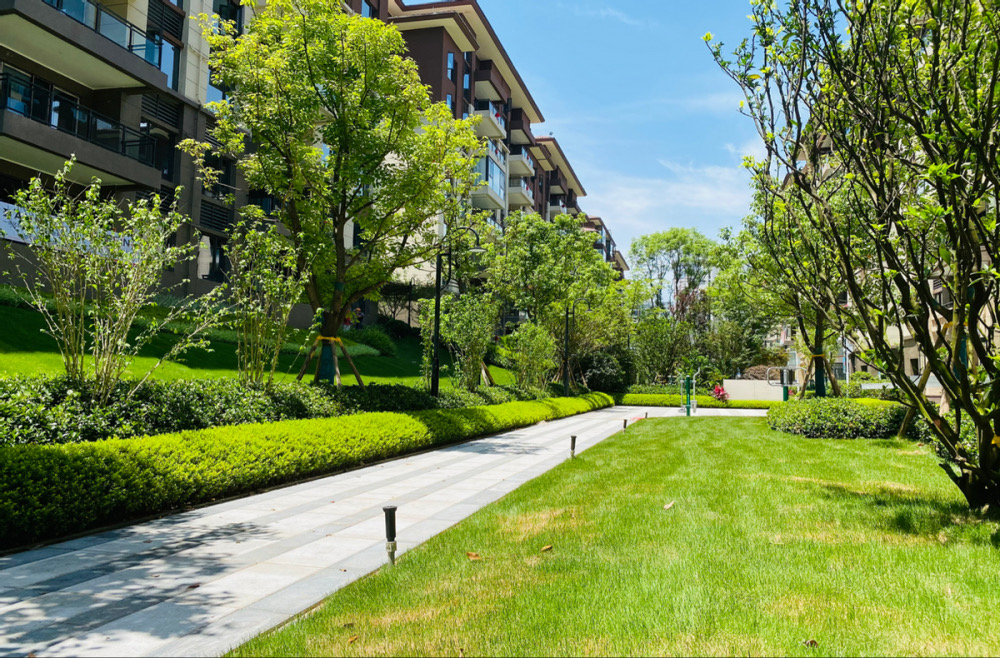 碧桂园拟对旗下9只境内债进行回购 购回资金总额上限为4.5亿元