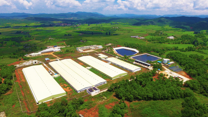 神农集团:公司深加工产品的销售渠道主要为企业、经销商、线上商城等