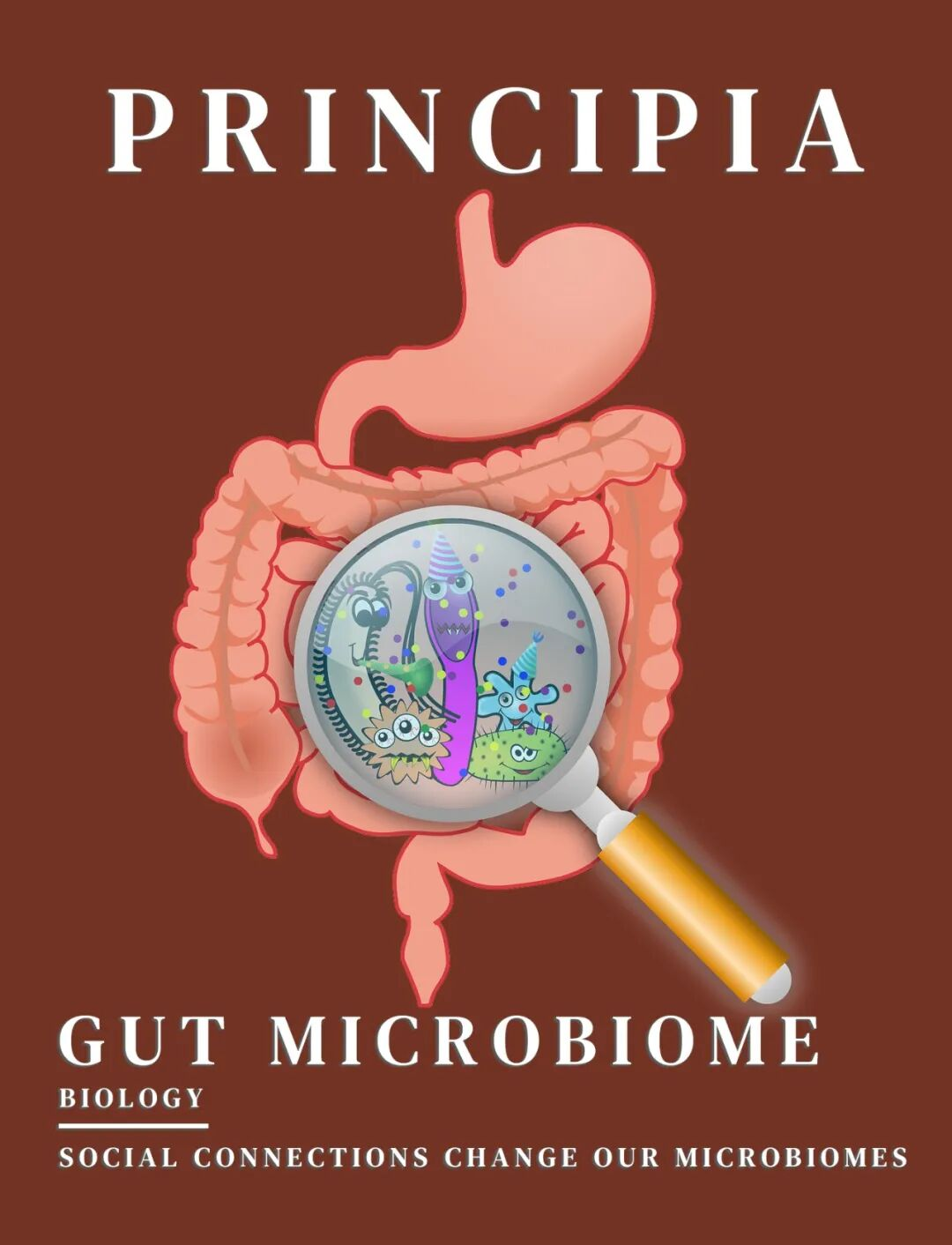 研究揭示一类“隐秘”肠道细菌有益健康