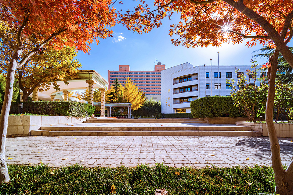 中国石化获得发明专利授权:“一种地面微地震事件信号增强方法”