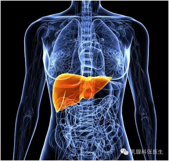 华润江中获得发明专利授权:“改善化疗不良反应的组合物及其制备方法、应用和产品”