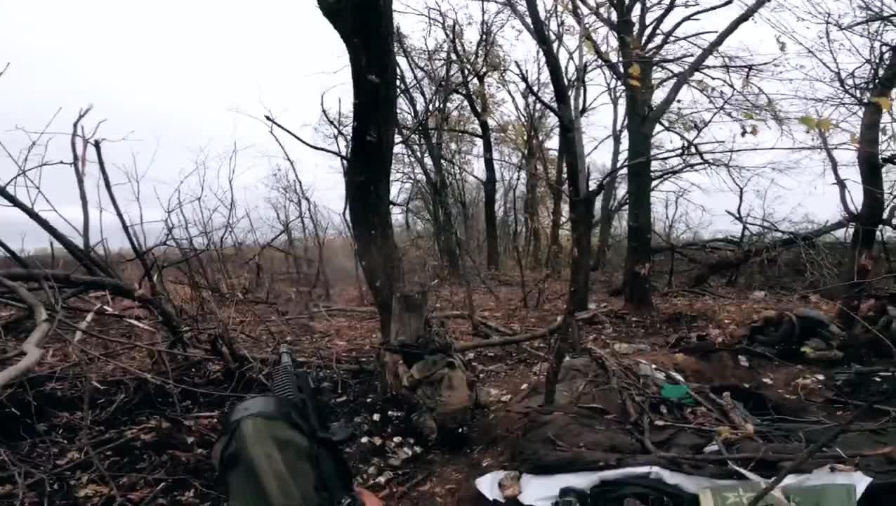 伊朗当地华侨华人：本地通信服务中断 空气中有硫磺味