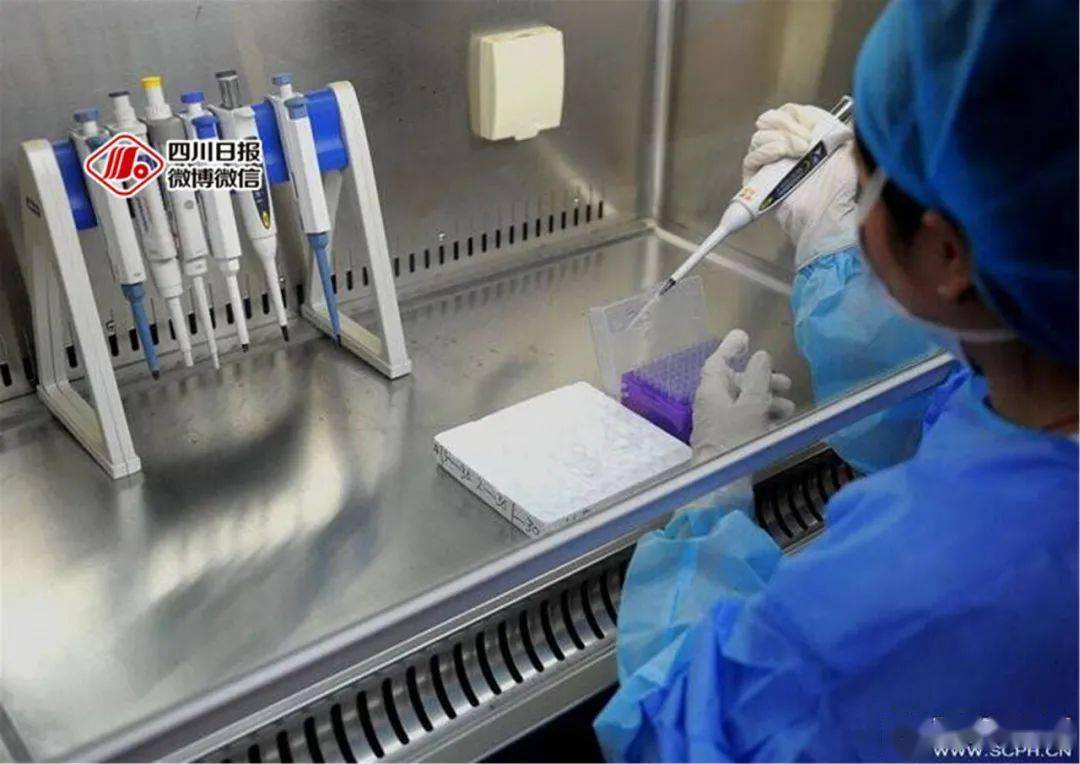 中国研究团队发现全球儿童癌症负担不平等加剧