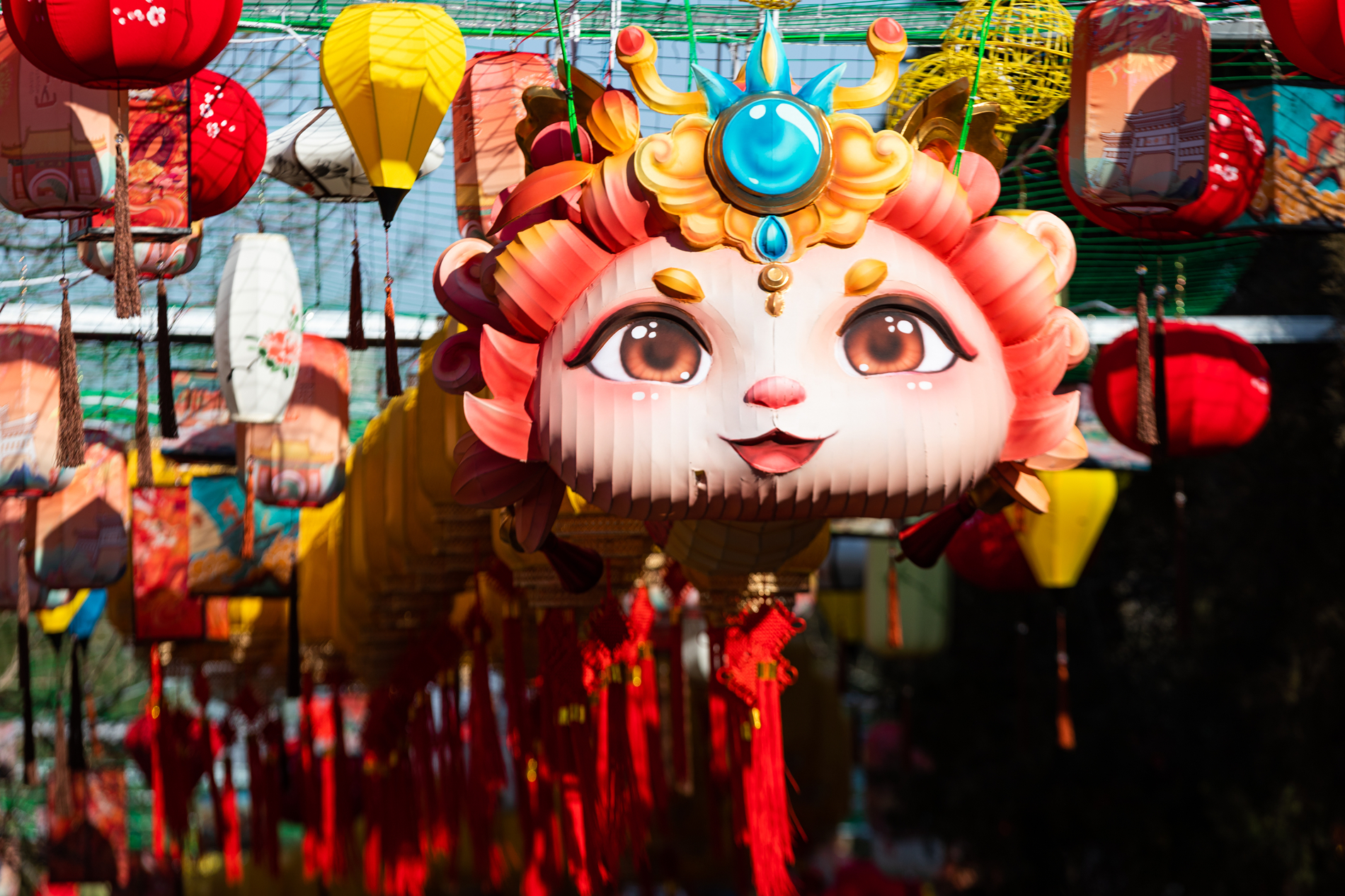 （新春见闻）年轻人乐享“手搓”鱼灯闹元宵