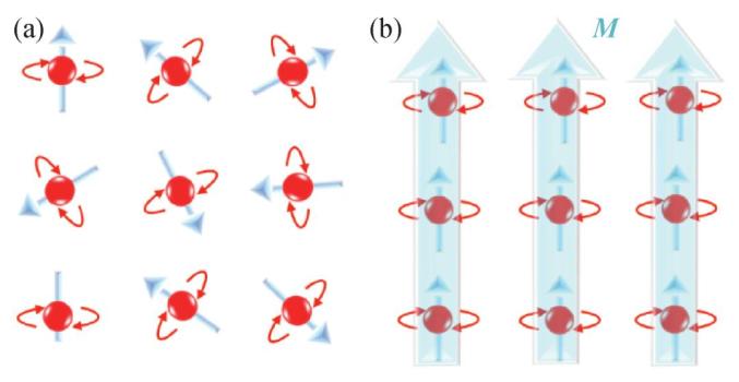 清华团队在手性反铁磁的电学操控上取得新突破