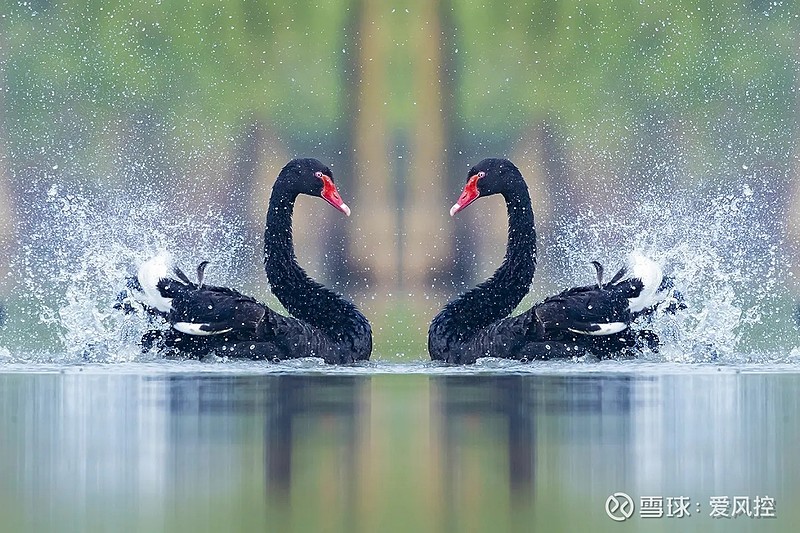 立方风控鸟·晚报（3月5日）
