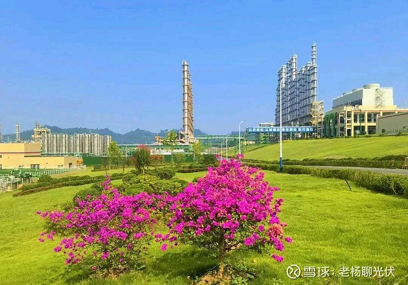 全国人大代表、隆基绿能董事长钟宝申：坚持高标准引领 破解光伏行业“内卷式”竞争