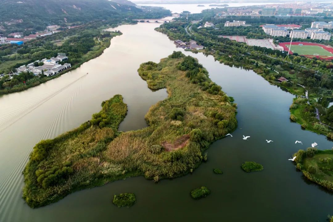 广东清淤总量超1.3亿立方米