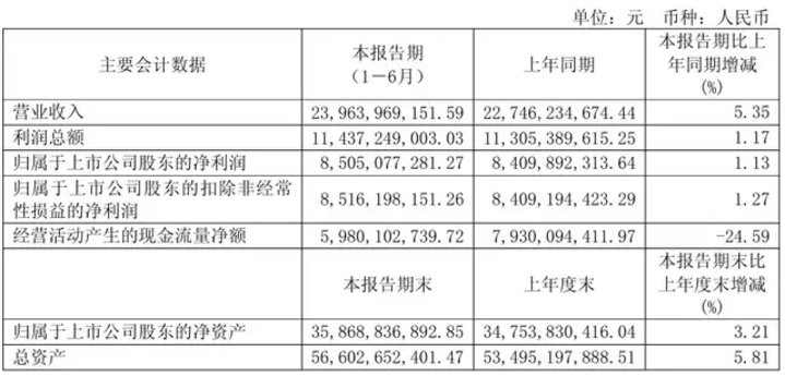 王文涛：我国网剧在全球市场营收占比达90%