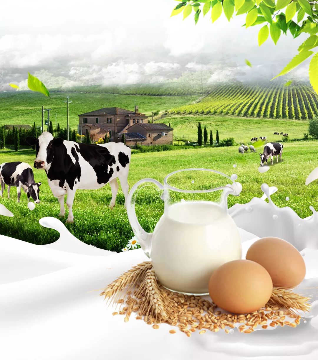 全国人大代表、安琪集团董事长熊涛：拓展微生物蛋白食品领域应用空间