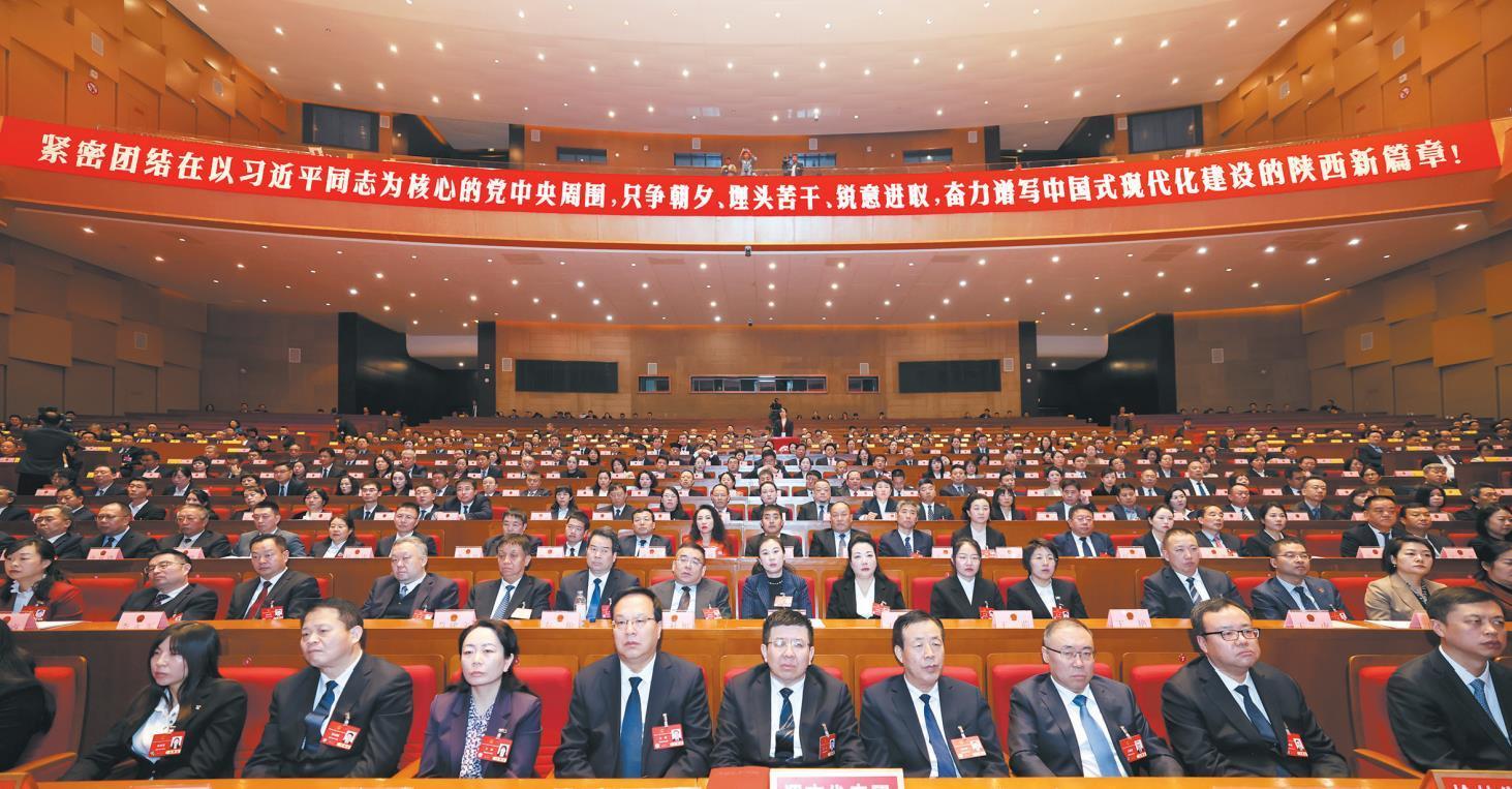 华商话两会｜法国戴安友：中法合作从买卖商品迈向产业合作