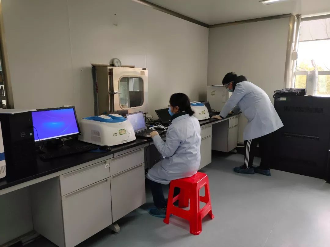 圣湘生物获得外观设计专利授权:“核酸检测分析仪”