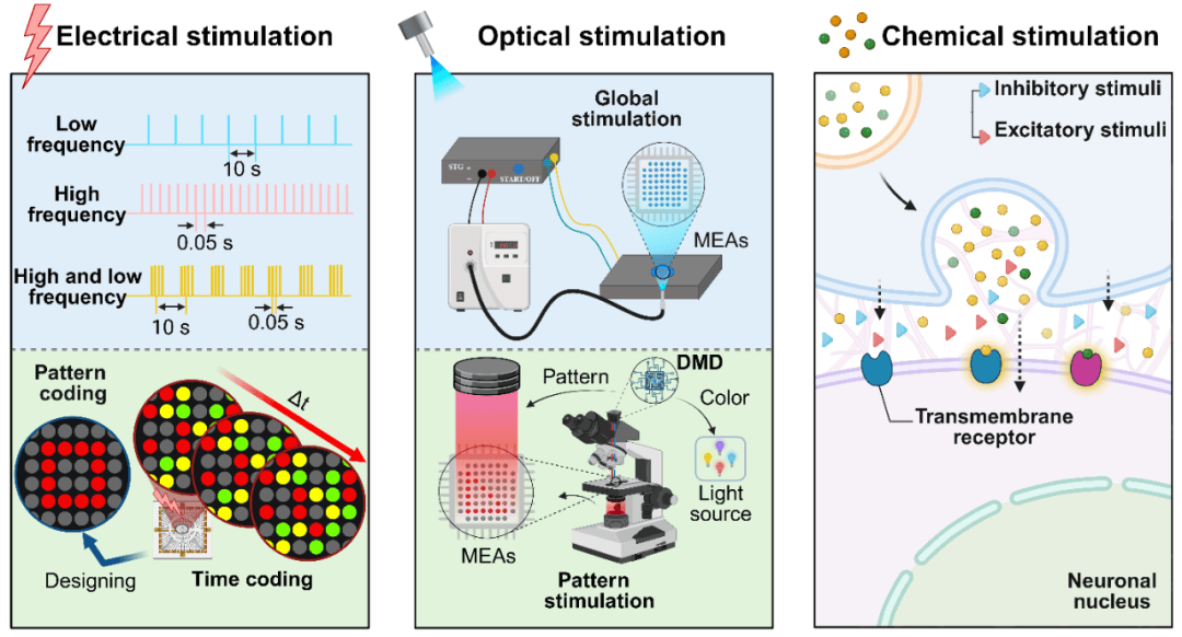 脑机接口电极的“三重门”
