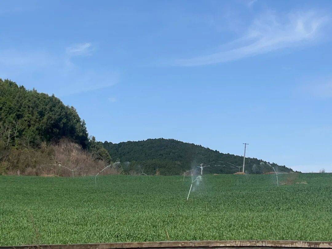 河南8500多万亩小麦进入春管期 科技显身手