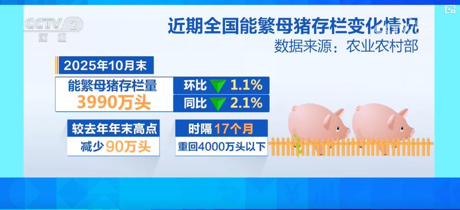 官方：持续强化生猪产能综合调控