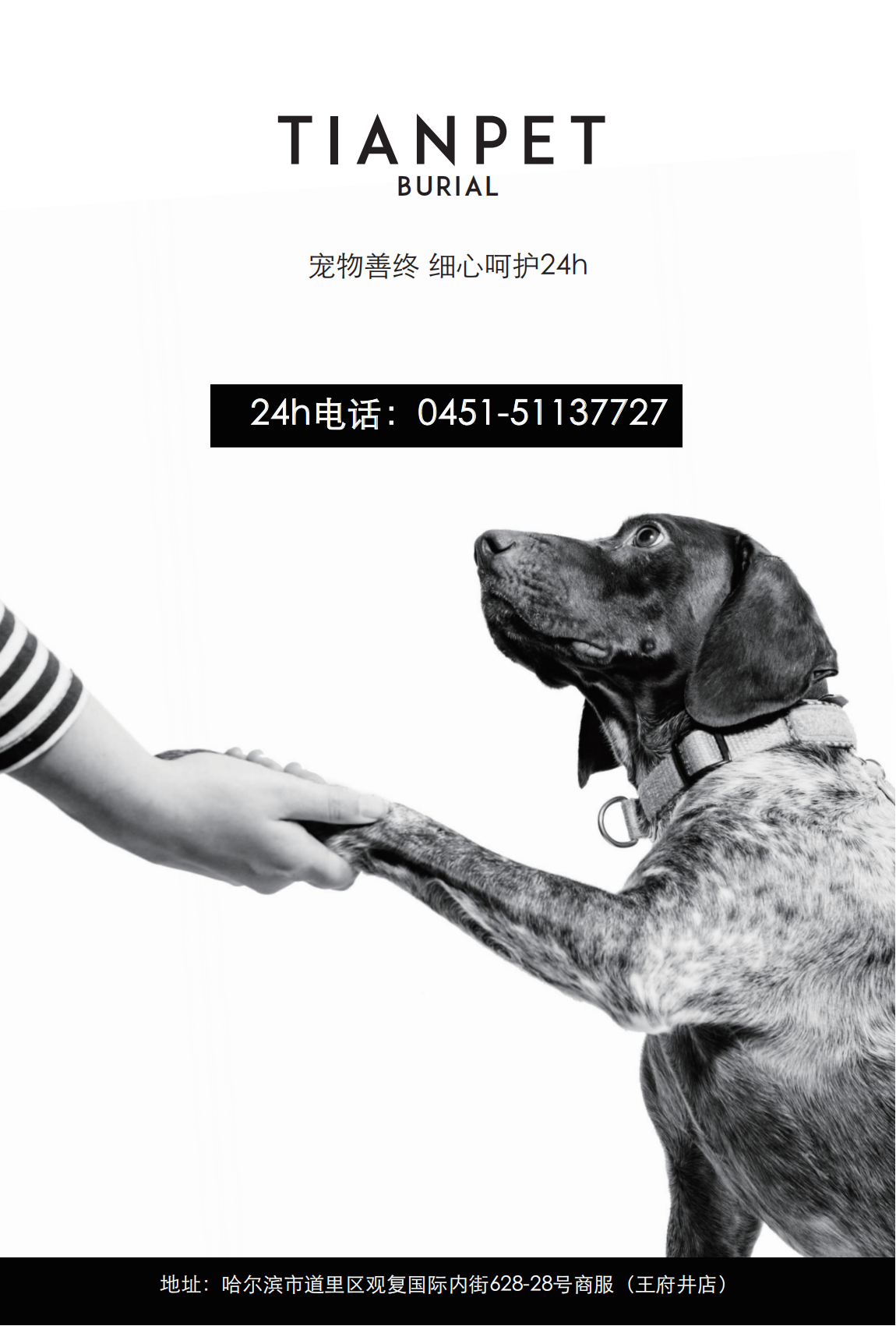 人保财险政银保 ,人保有温度_宠物殡葬行业市场现状分析及发展前景预测2026