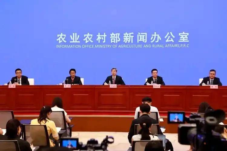 保险有温度,人保伴您前行_2026火龙果行业市场深度调查及未来发展趋势预测