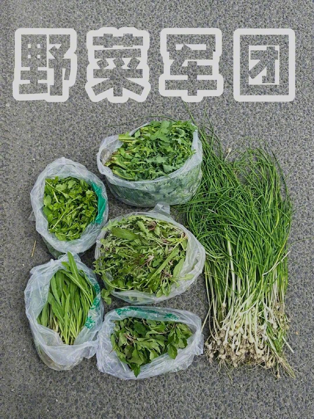 今年春天,这届年轻人都去结伴挖野菜了