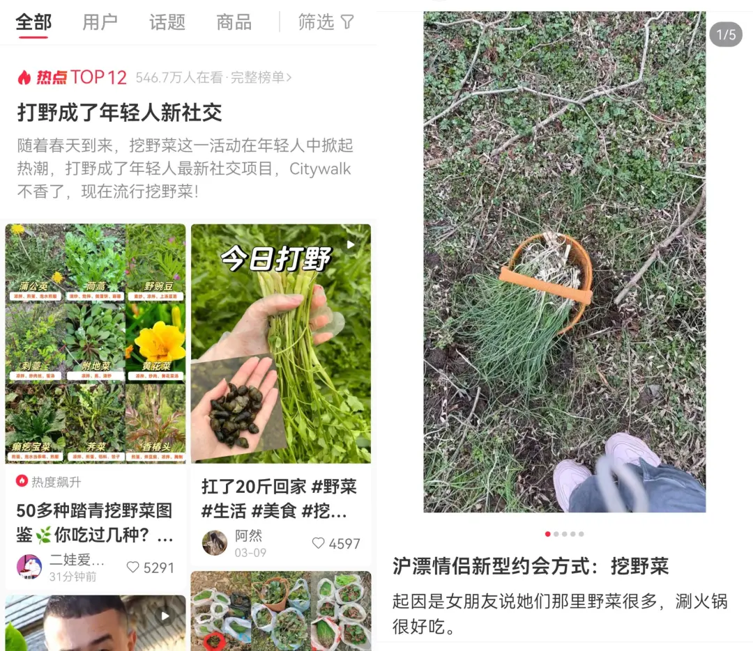 今年春天，这届年轻人都去结伴挖野菜了