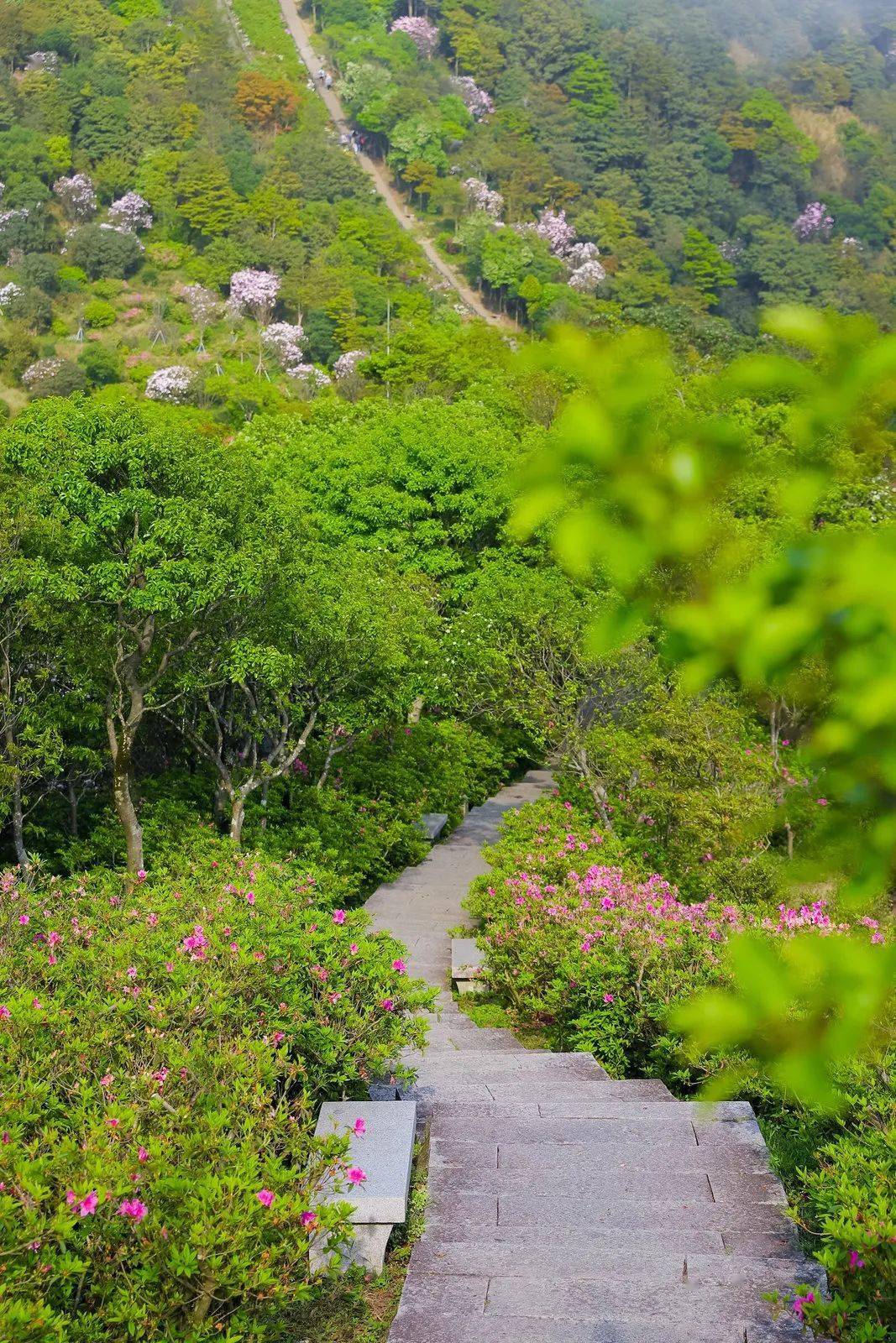 清明观察:AI点亮绿色归途,浙江探索生态殡葬新路
