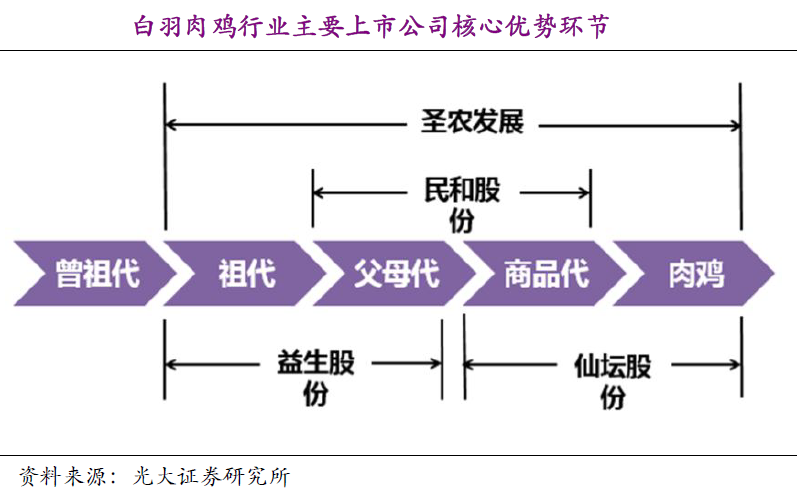 民和股份：3月商品代鸡苗销售收入8981.3万元