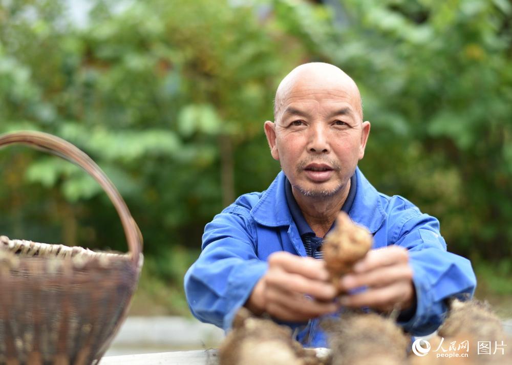 河南省铁路建设投资集团总经理孙伟良接受审查调查