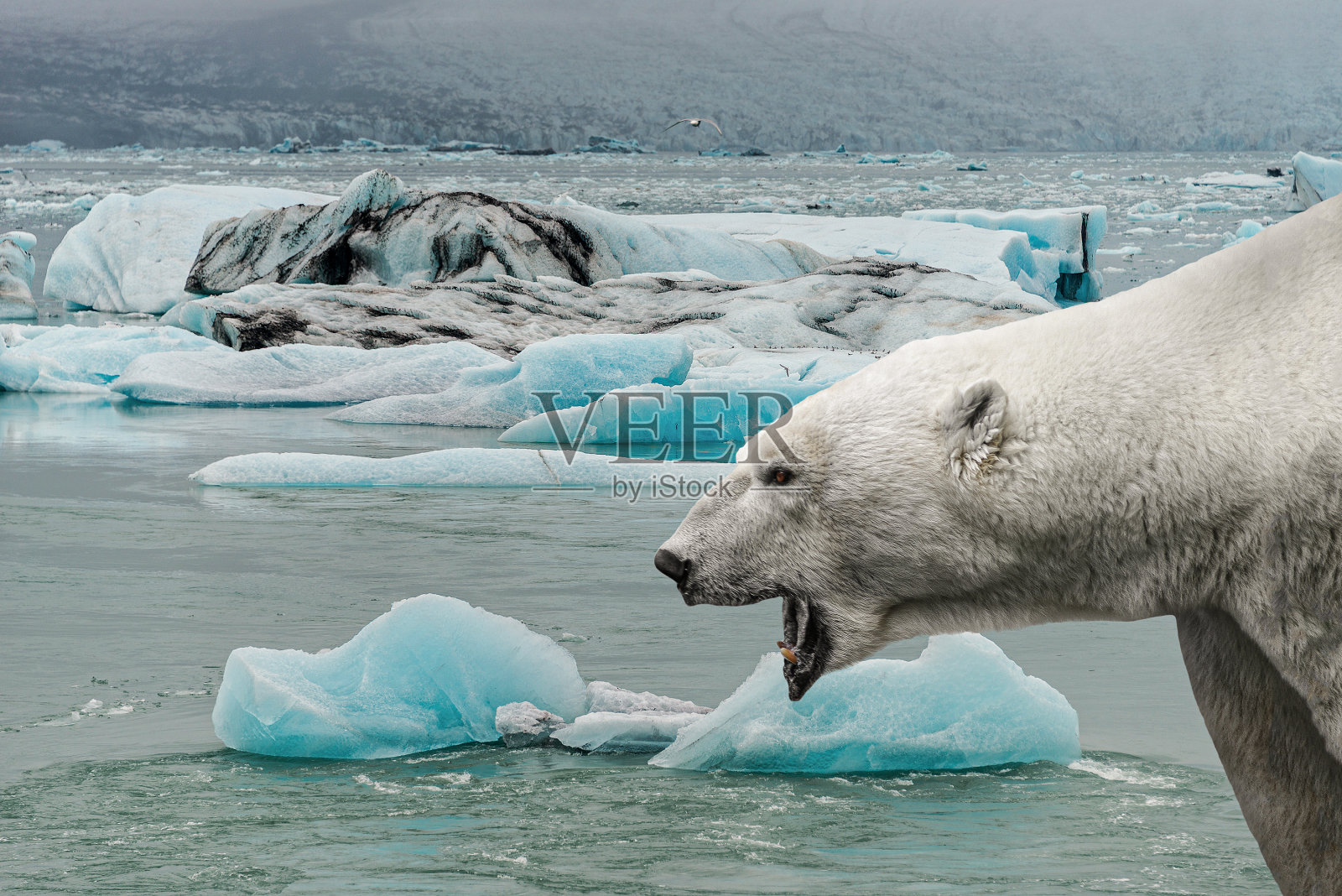 科学圆桌会丨极地专家谈世界最大冰山崩解：这是一个严肃的提醒