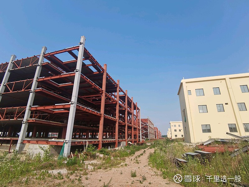 天邦食品股价“过山车”背后：业绩预亏与重整失败风险高悬