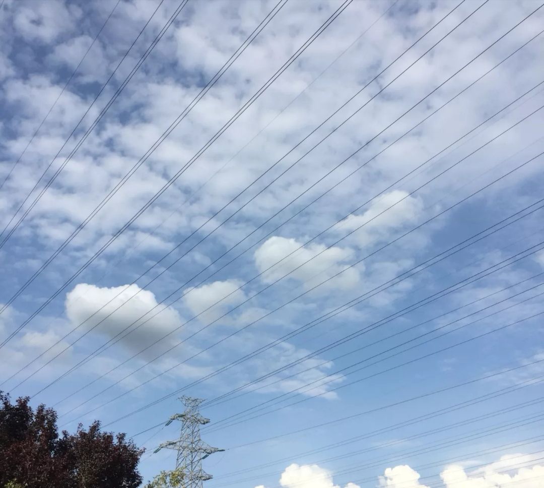 【阜成门外】义乌请量产！这不是梗，是实力