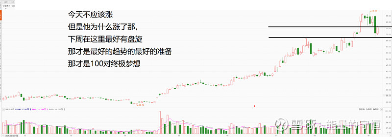 圣诺生物（688117）2026年一季报简析：营收净利润同比双双增长，盈利能力上升