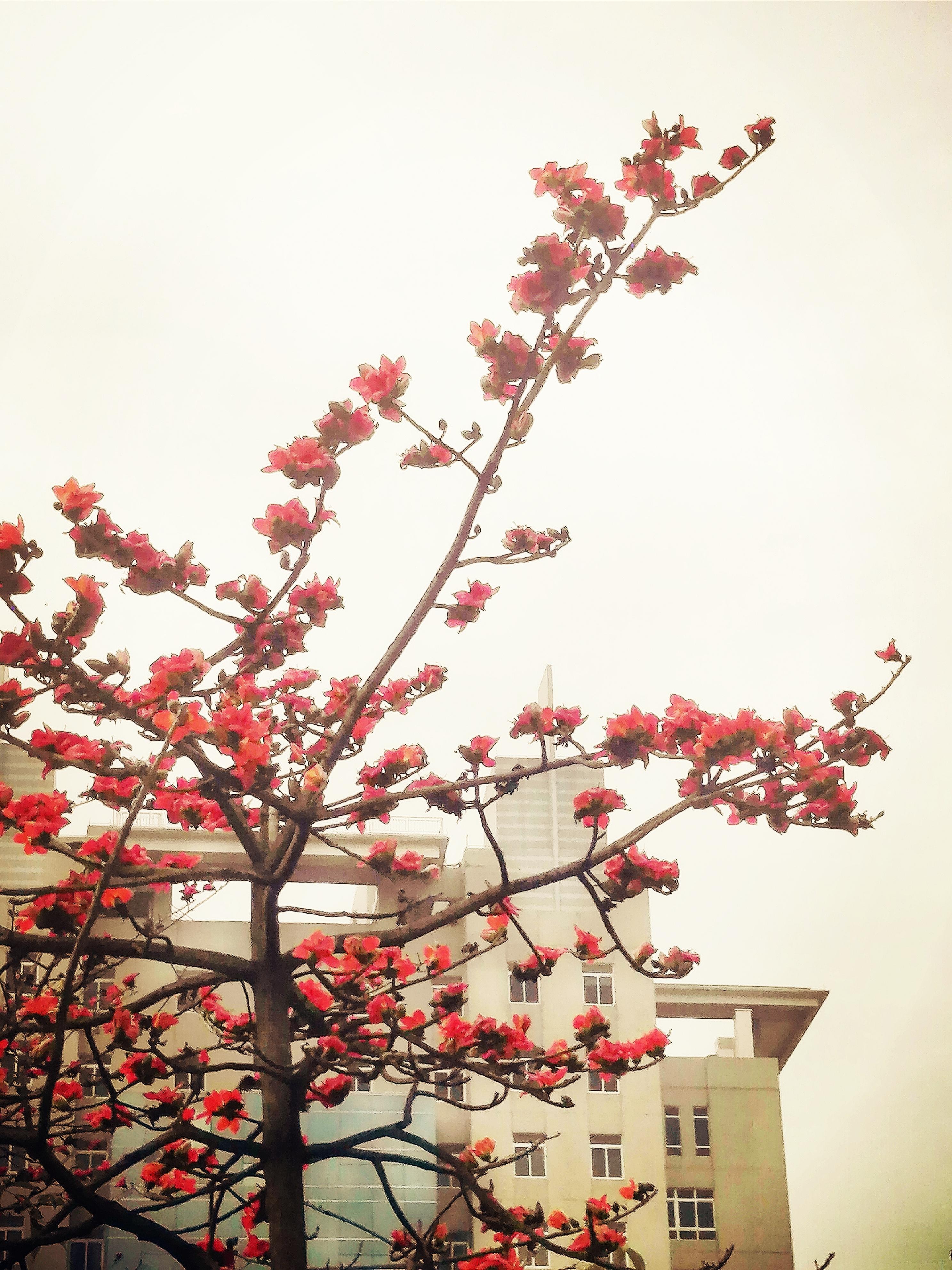 “南方列车・红棉号”普惠型适老化旅游列车试运行